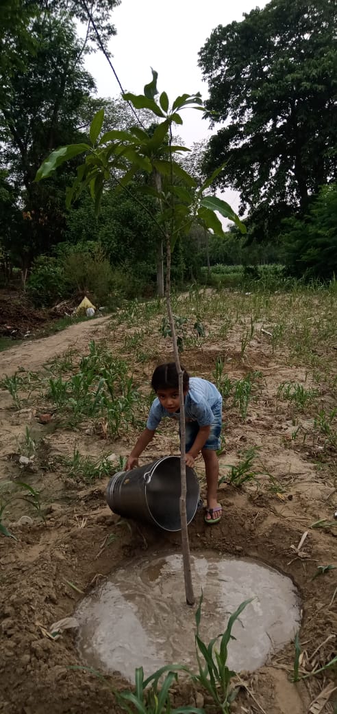 वृक्ष हमारे जीवन दाता, इनसे जनम, जनम का नाता:आई युवा